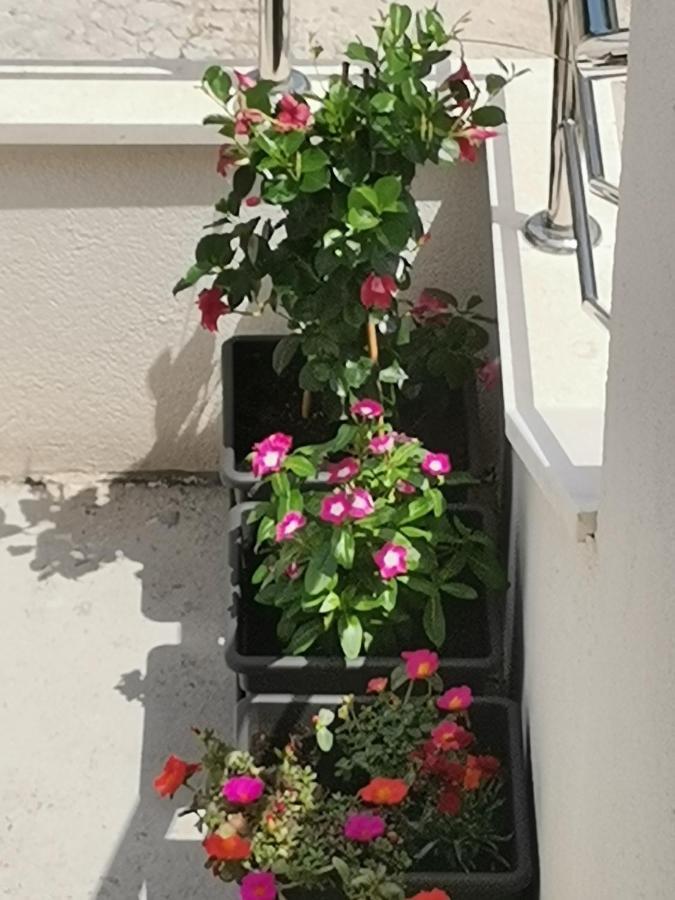 Apartment Lijana Sea View Tučepi Eksteriør bilde